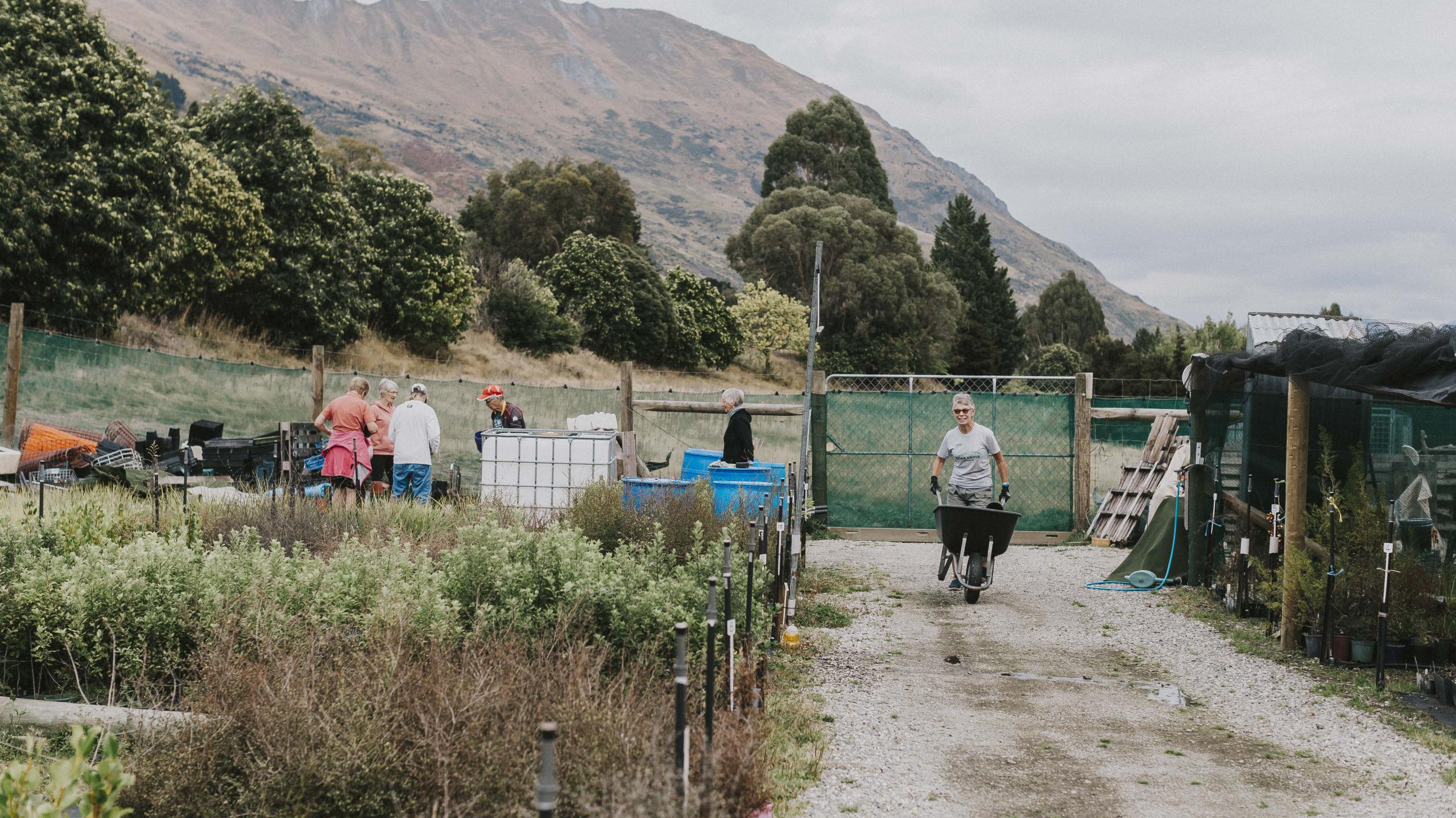  Volunteer: Te Kākano Nursery Sessions thumbnail