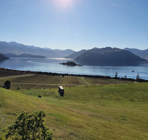 Wanaka Food and Wine Tours Wanaka Official Website