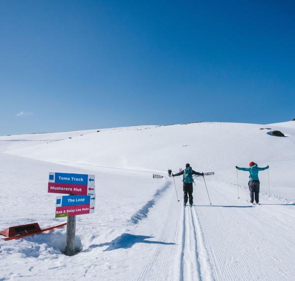  Snow Farm NZ thumbnail