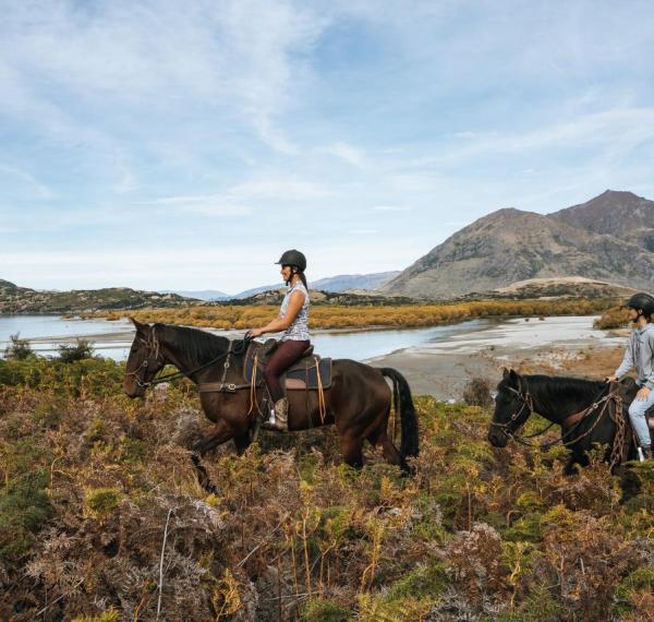  Wanaka Horse Trekking thumbnail