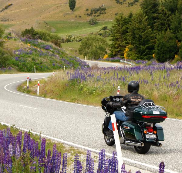  Beker's Motorcycle Tours New Zealand thumbnail