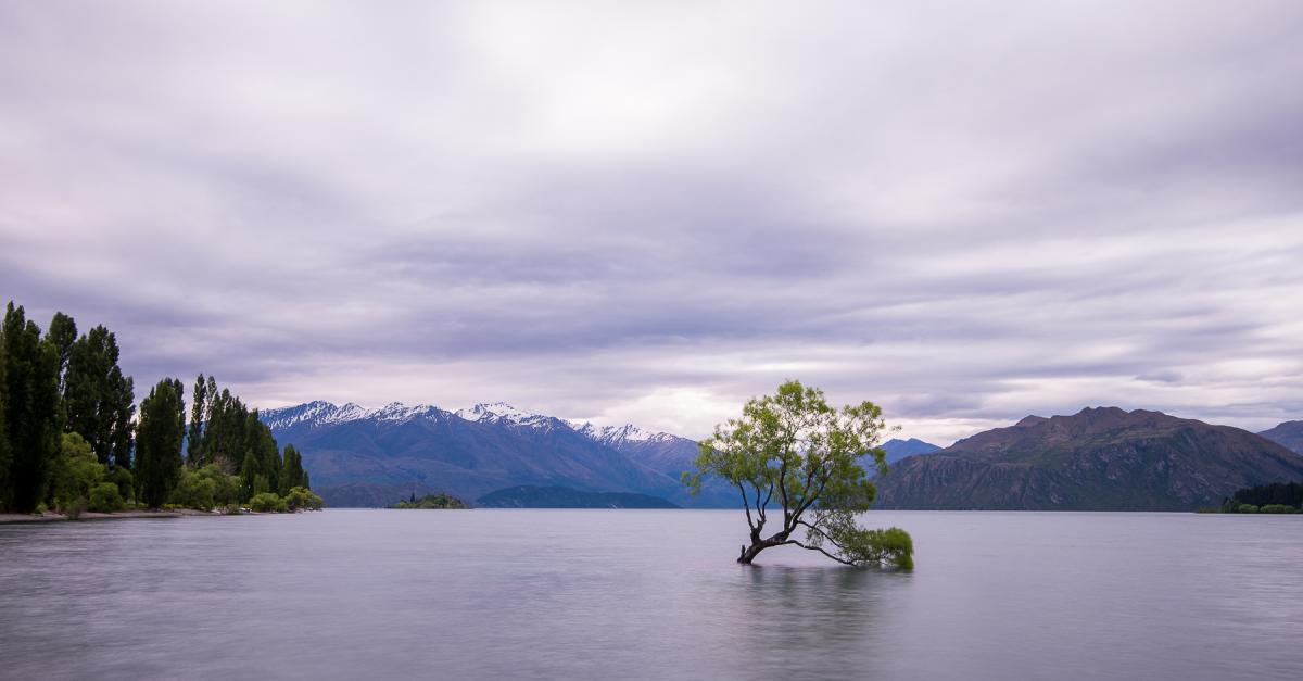 Fairway Motel and Apartments Explore Wanaka Official Website