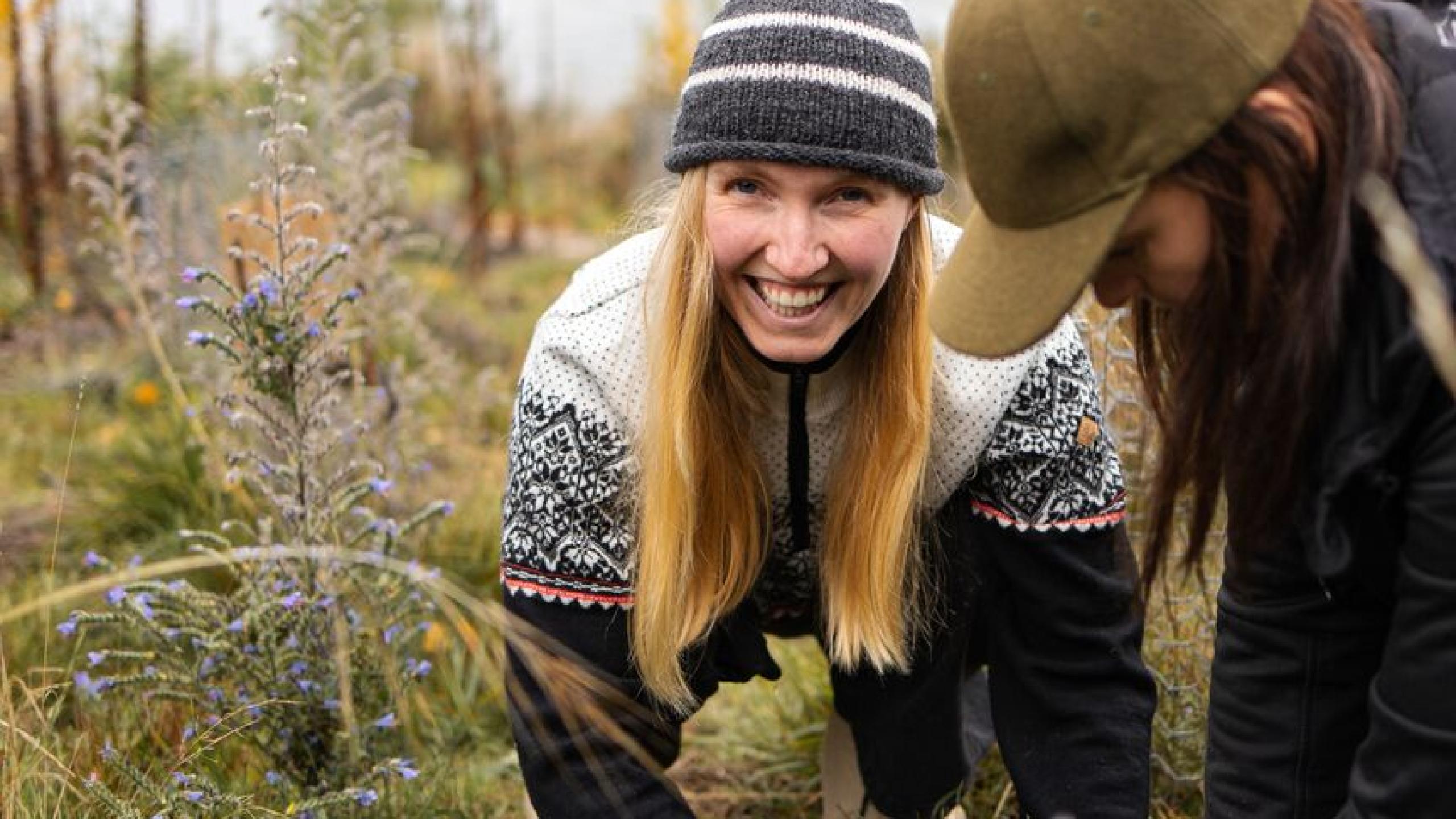 Volunteer: Community Planting Day with Te Kākano thumbnail
