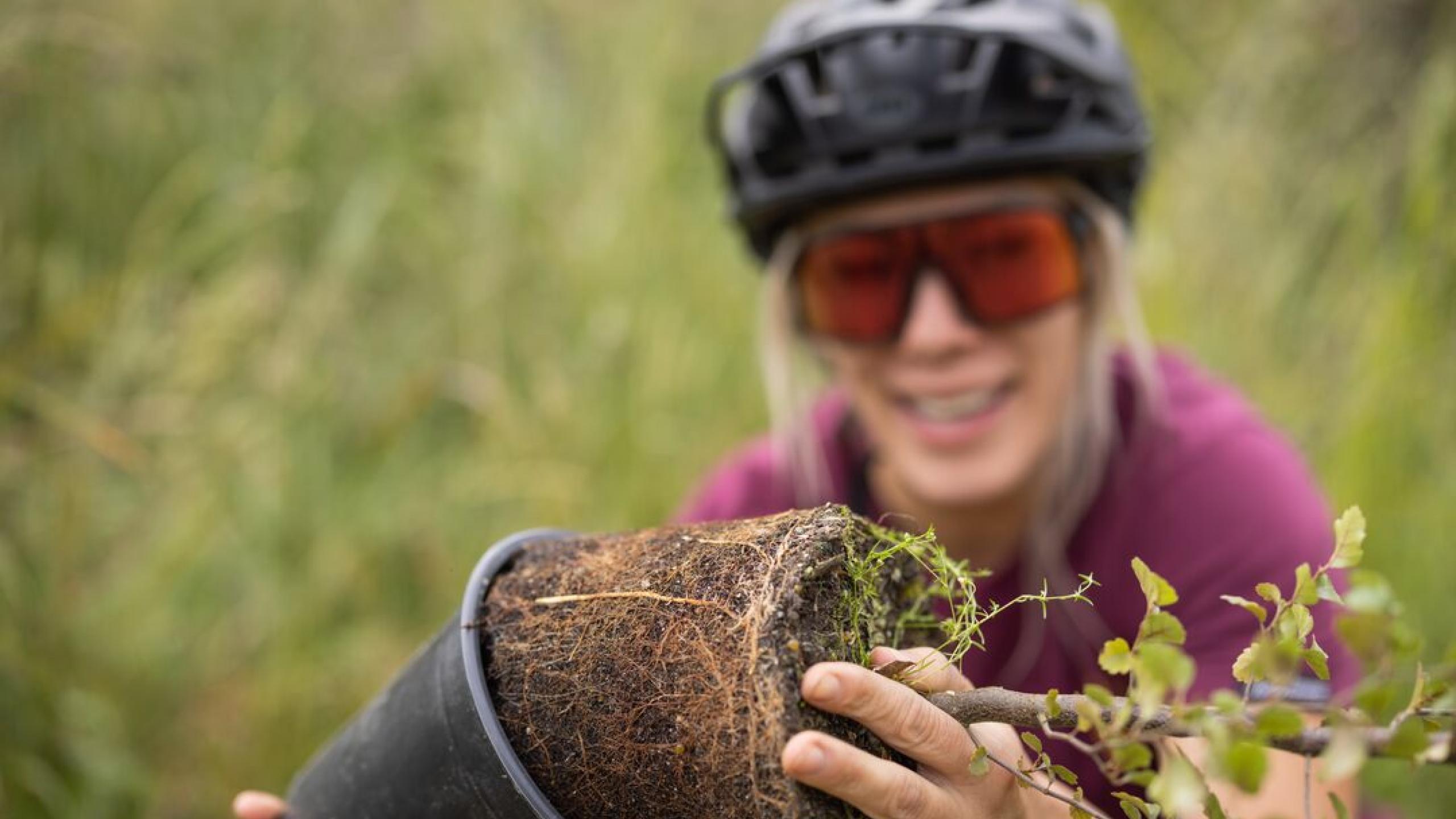  Volunteer: Bike Glendhu Planting Day thumbnail
