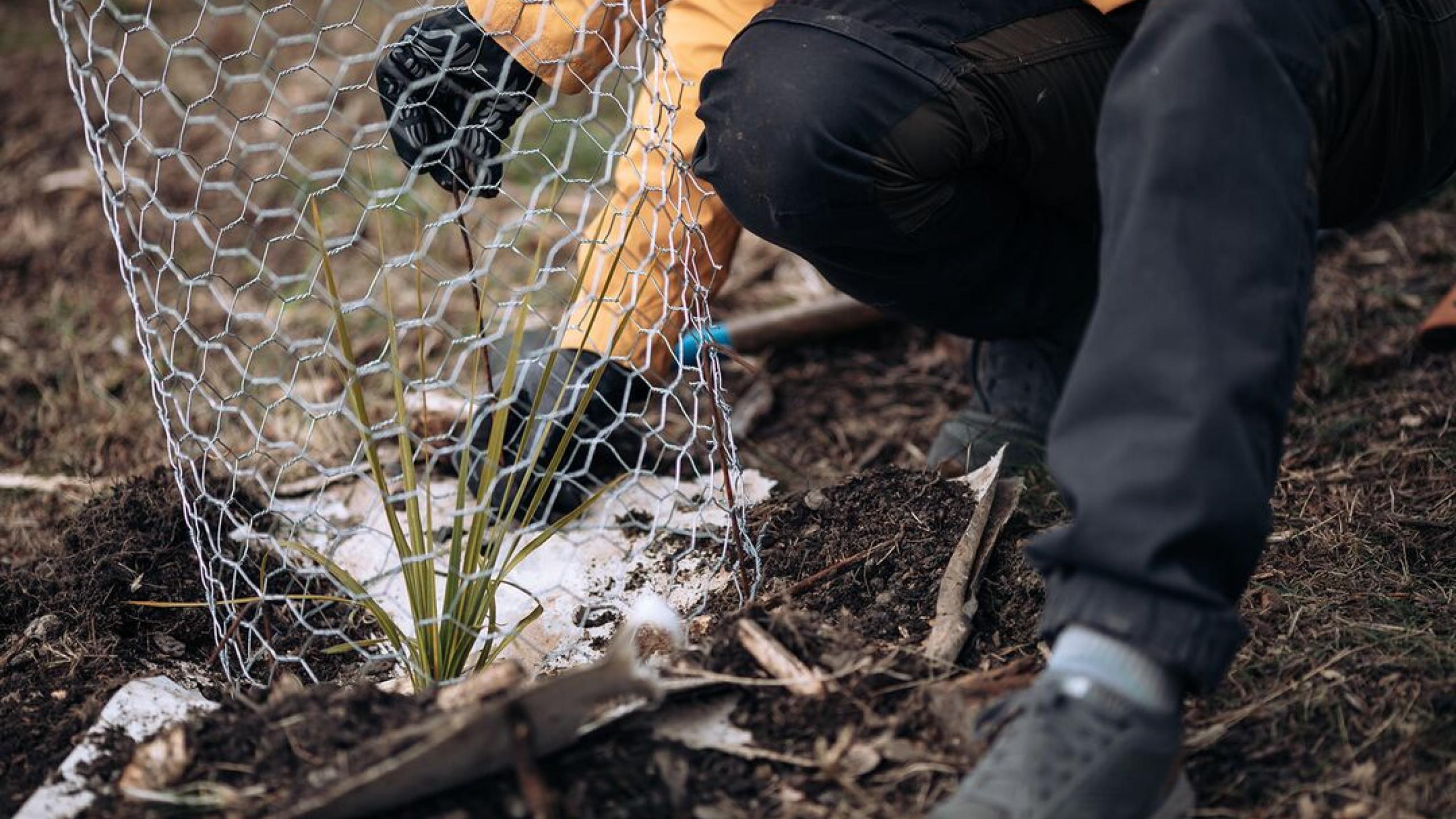  Harakeke Weaving Workshops with Te Kākano thumbnail