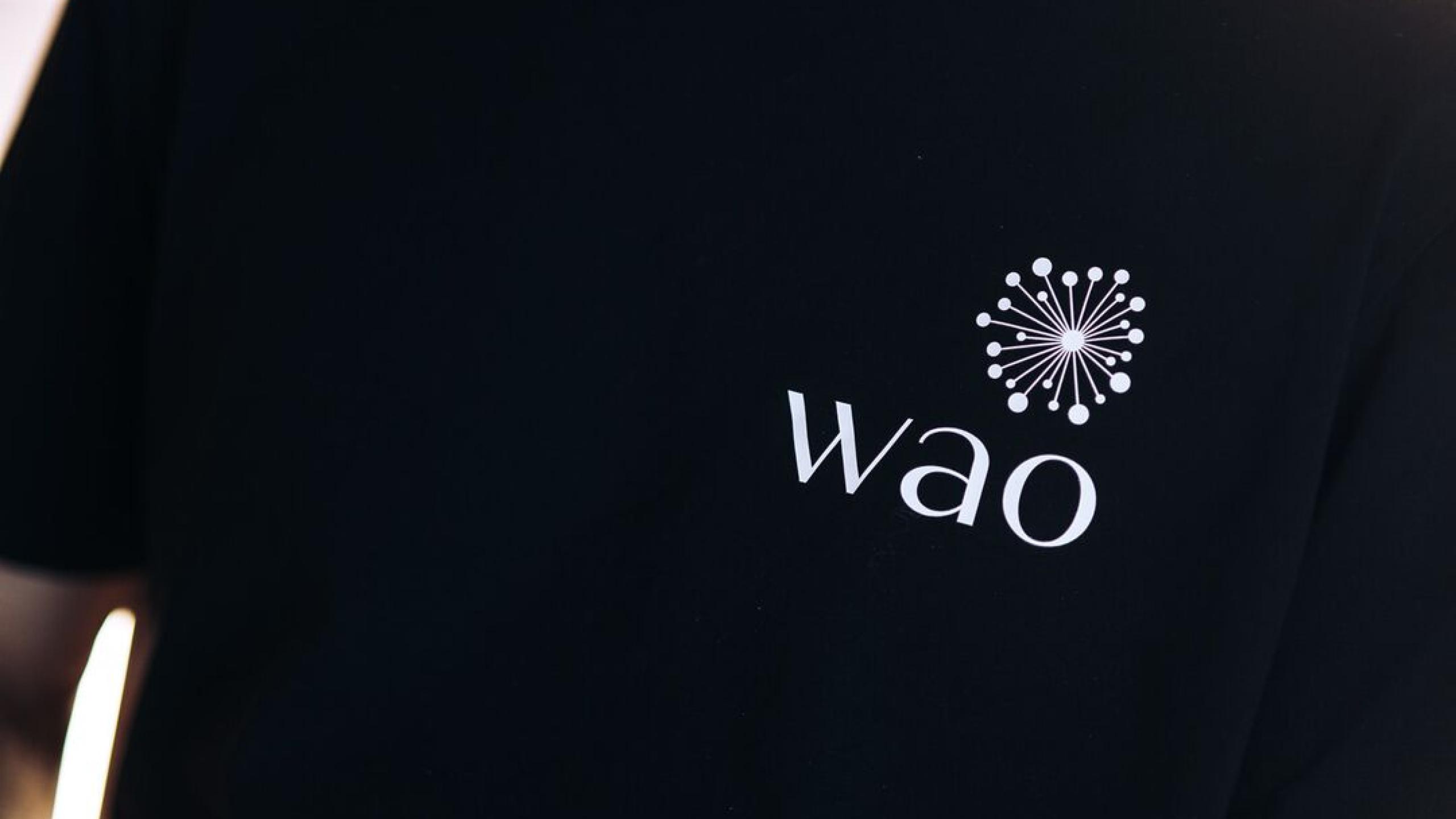  Volunteer: Wao Summit 2024 thumbnail