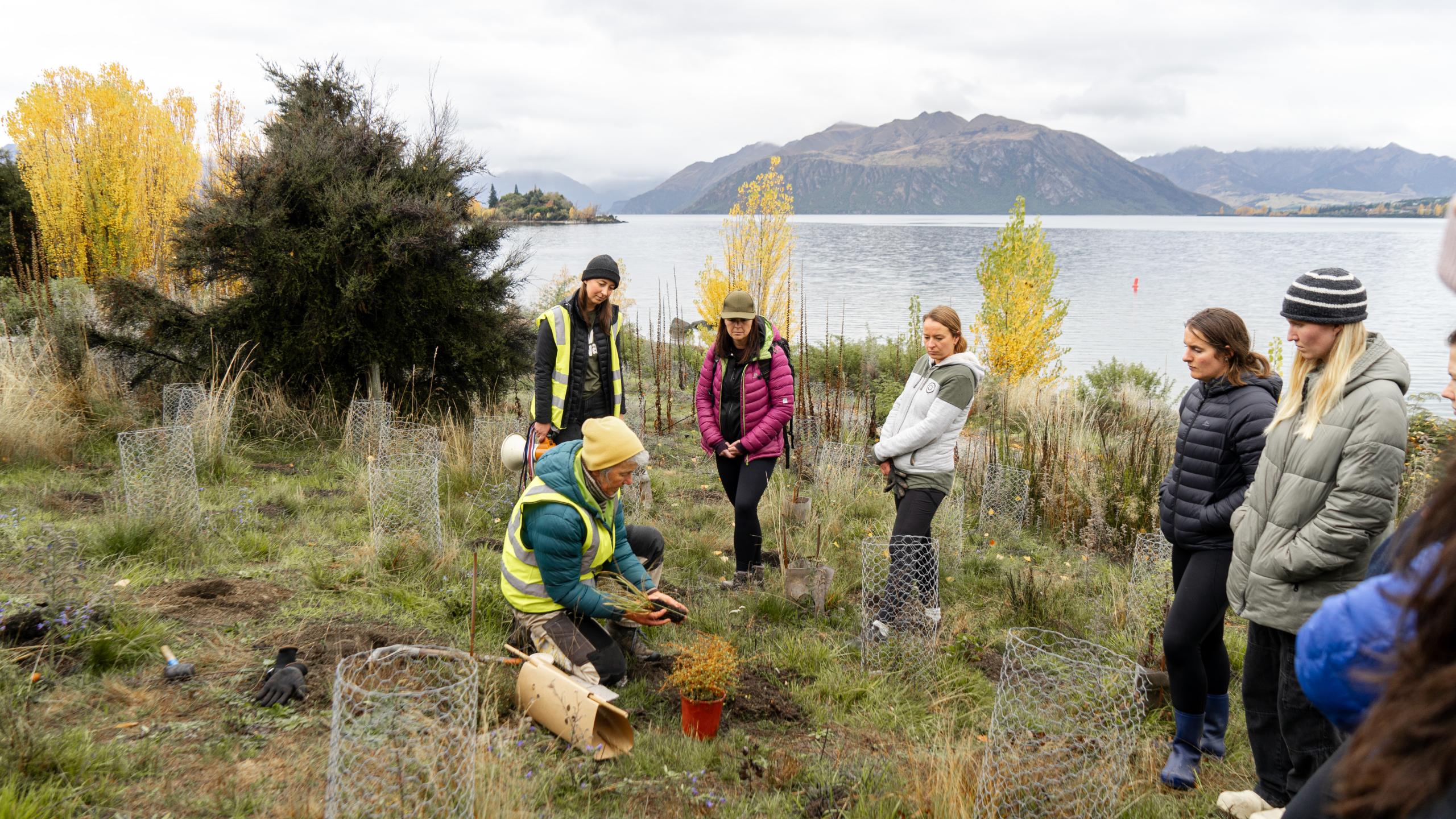  Volunteer: Te Kākano Community Planting Day thumbnail