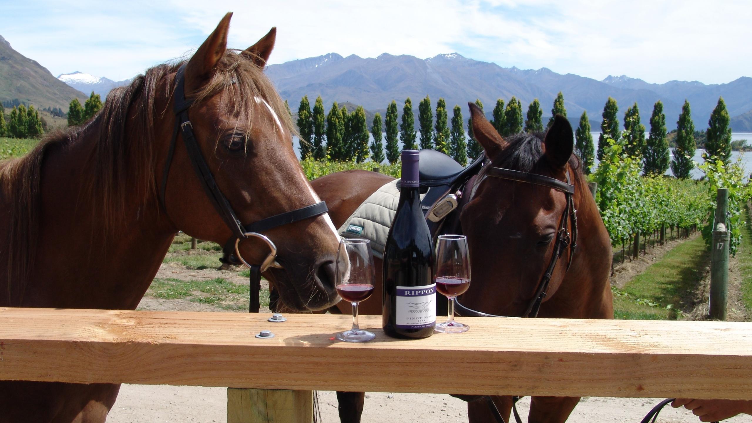 Timber Creek Horse Wine