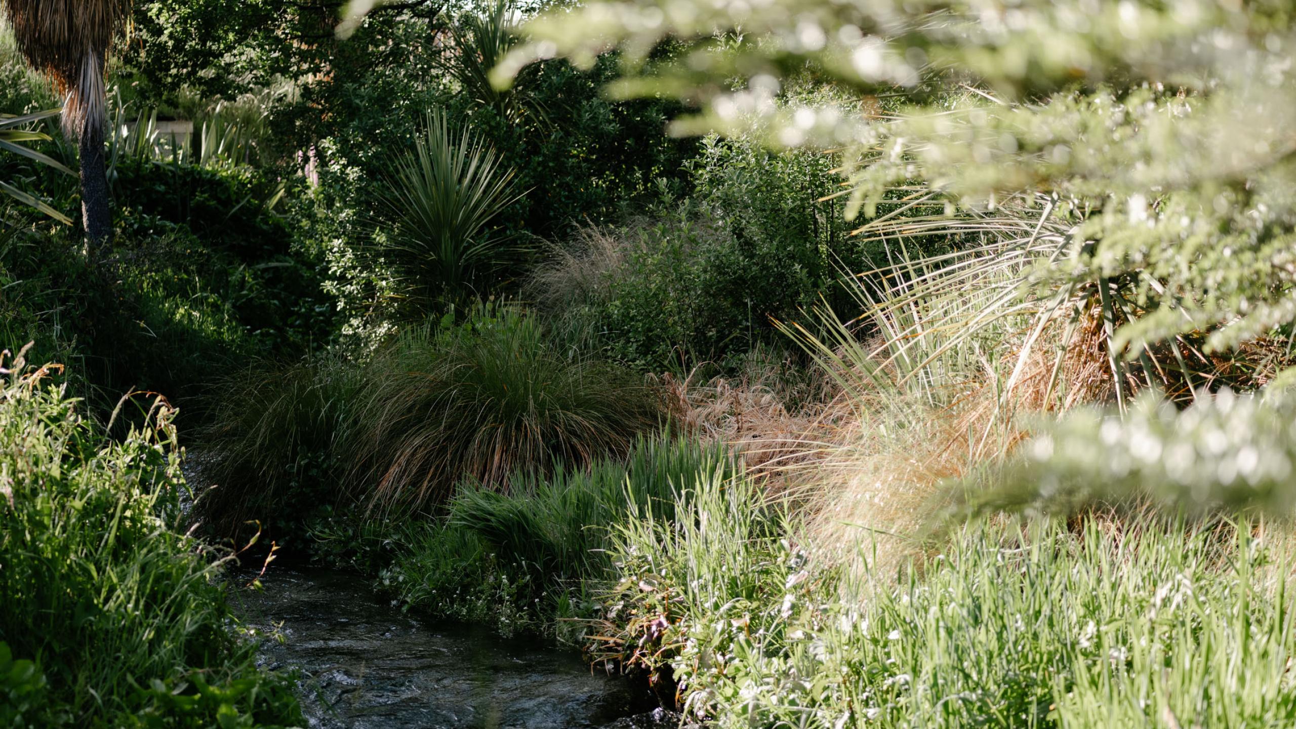 Wanaka Community Fund Biddi Rowley Water Ways 1