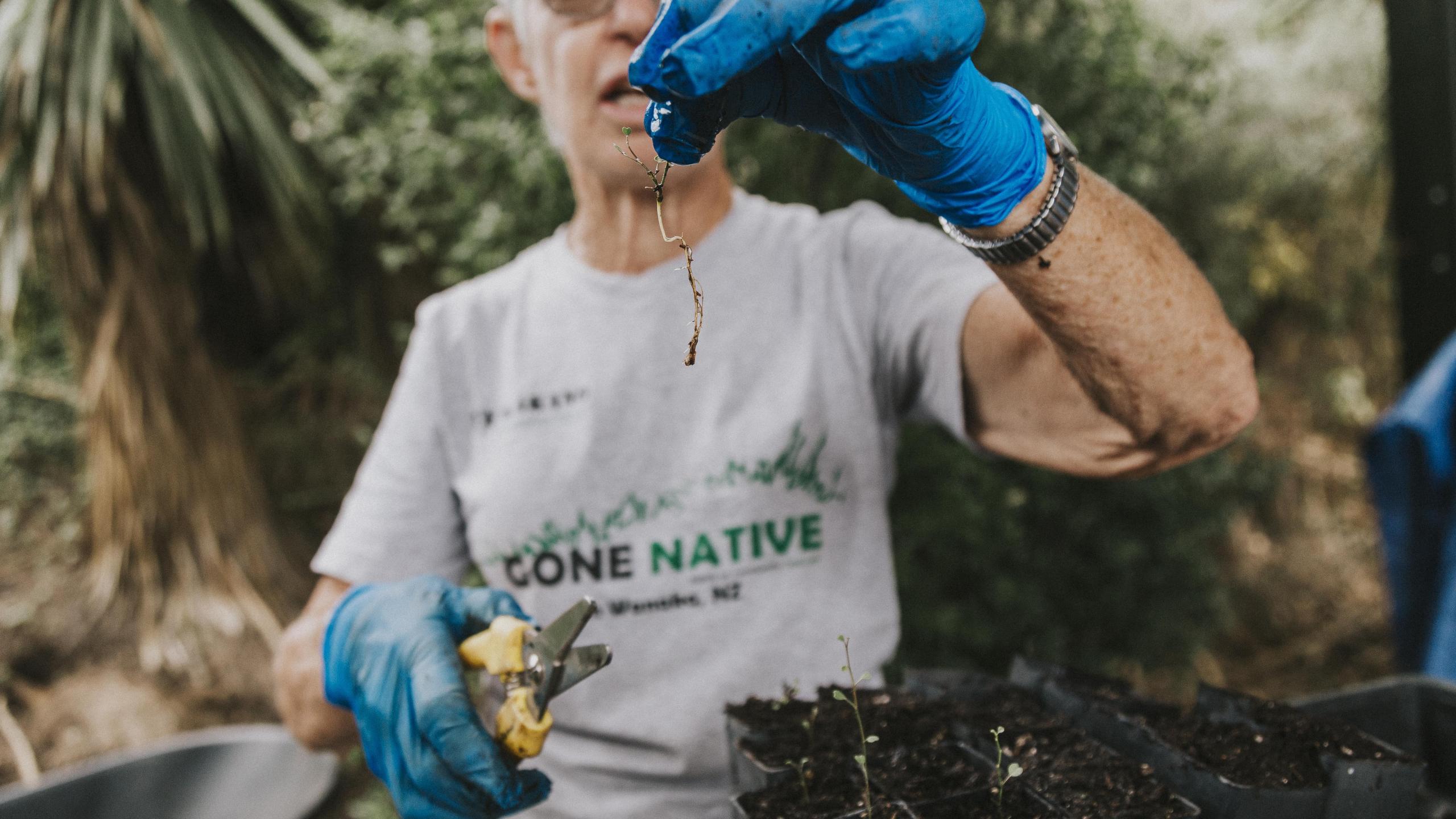  Native Plant Propagation Workshops with Te Kākano thumbnail