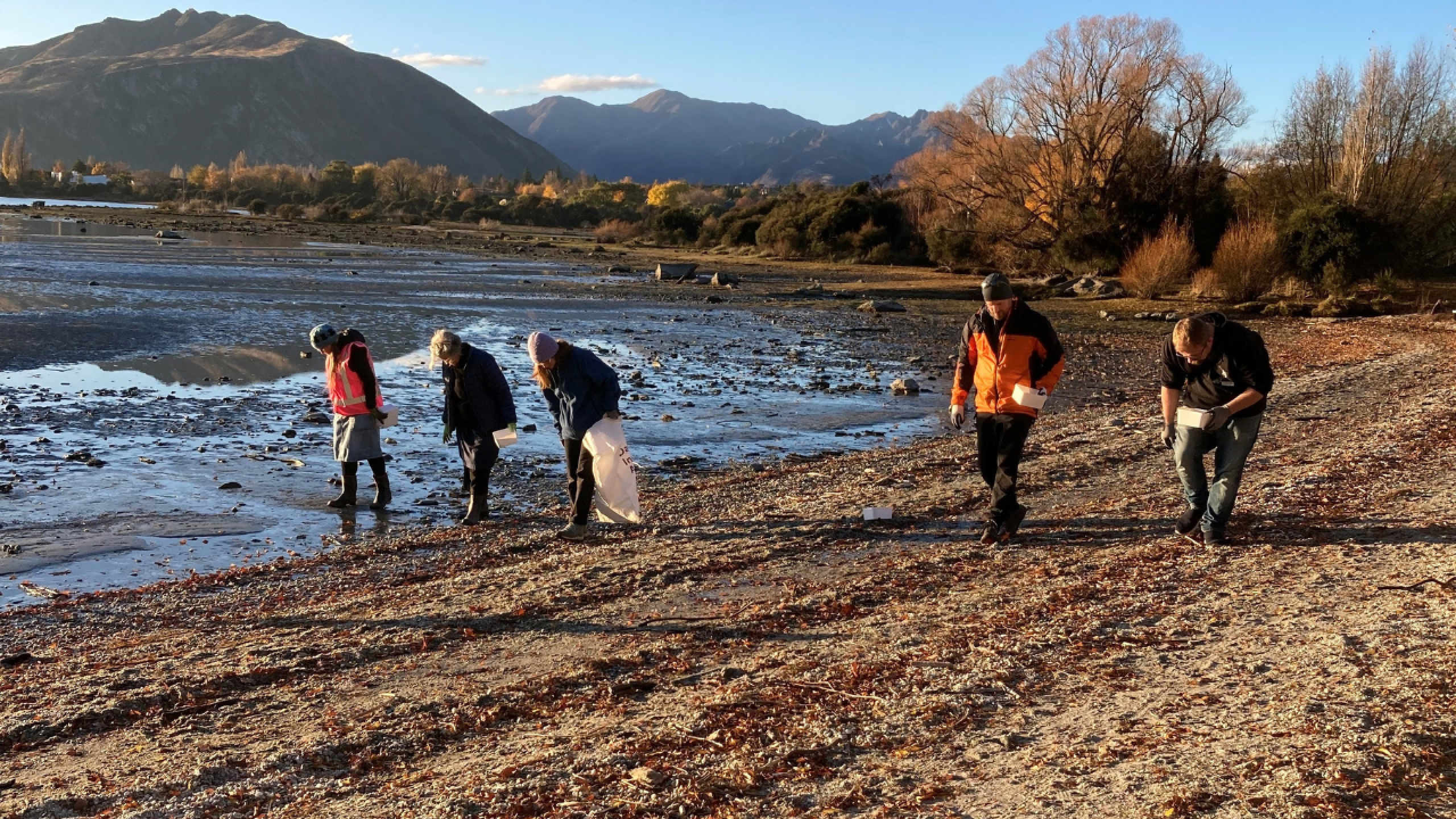 3. Bremner Bay Clean Up