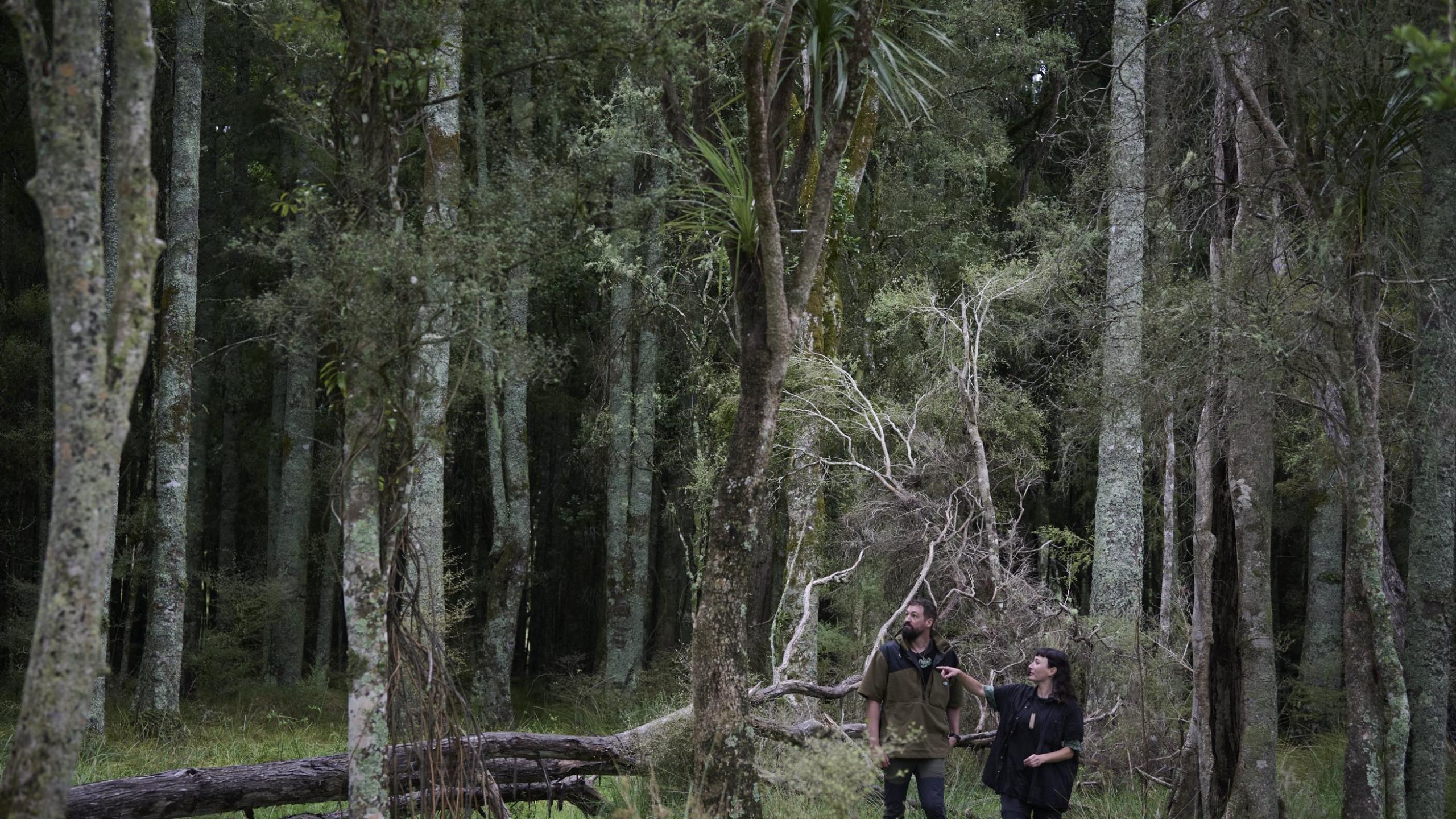  Wao Film Night - Think Like A Forest thumbnail