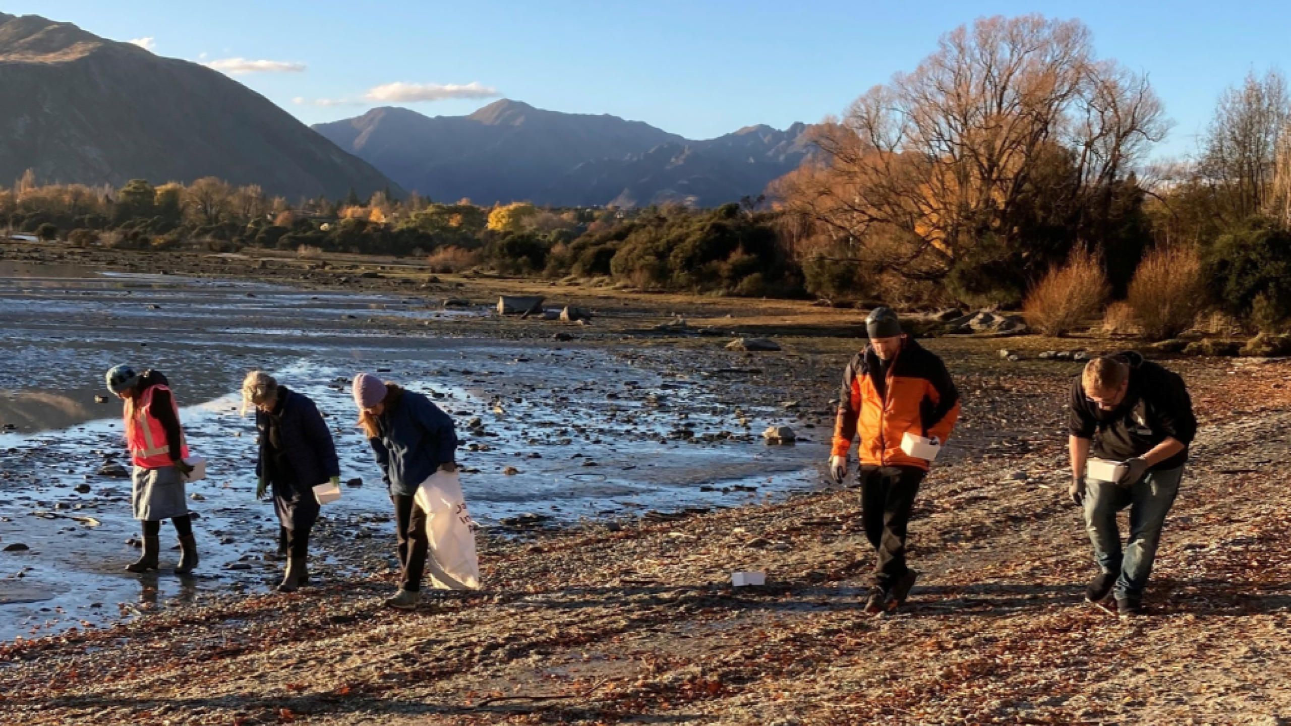 lake wanaka clean up