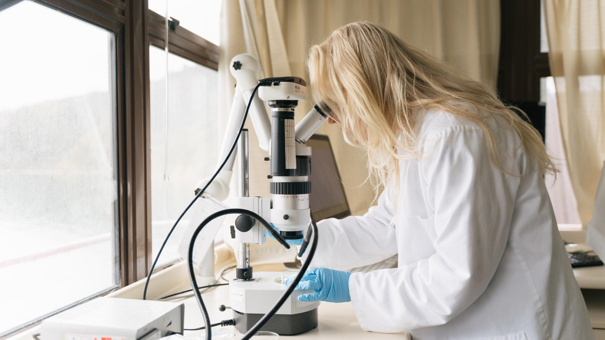  Volunteer: Microplastics Lab Session with WAI Wānaka thumbnail